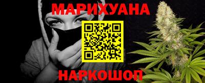 спайс Гай