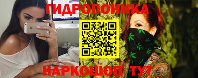 спайс Гай
