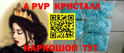 спайс Гай