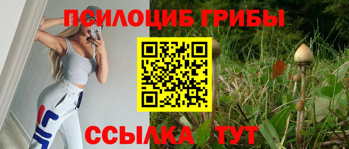 Галлюциногенные грибы Psilocybine cubensis Миллерово