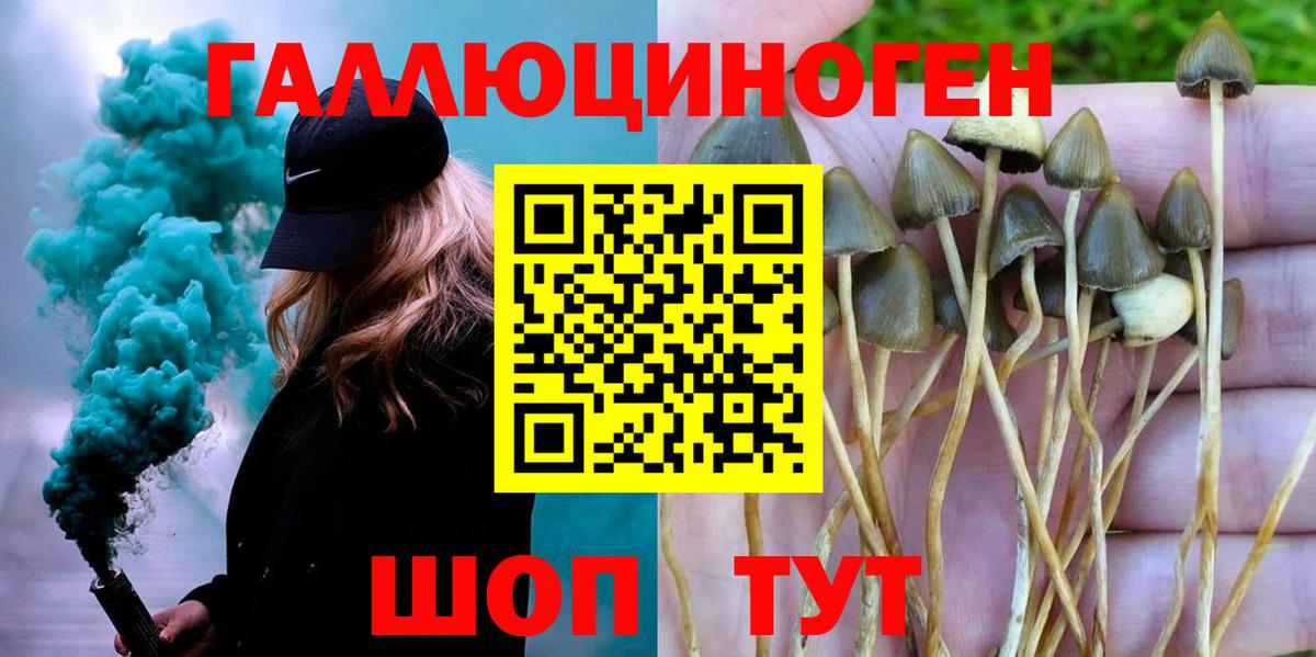наркотики  Псилоцибиновые грибы MAGIC MUSHROOMS  Миллерово  Вход с VPN  Псилоцибиновые грибы GOLDEN TEACHER 